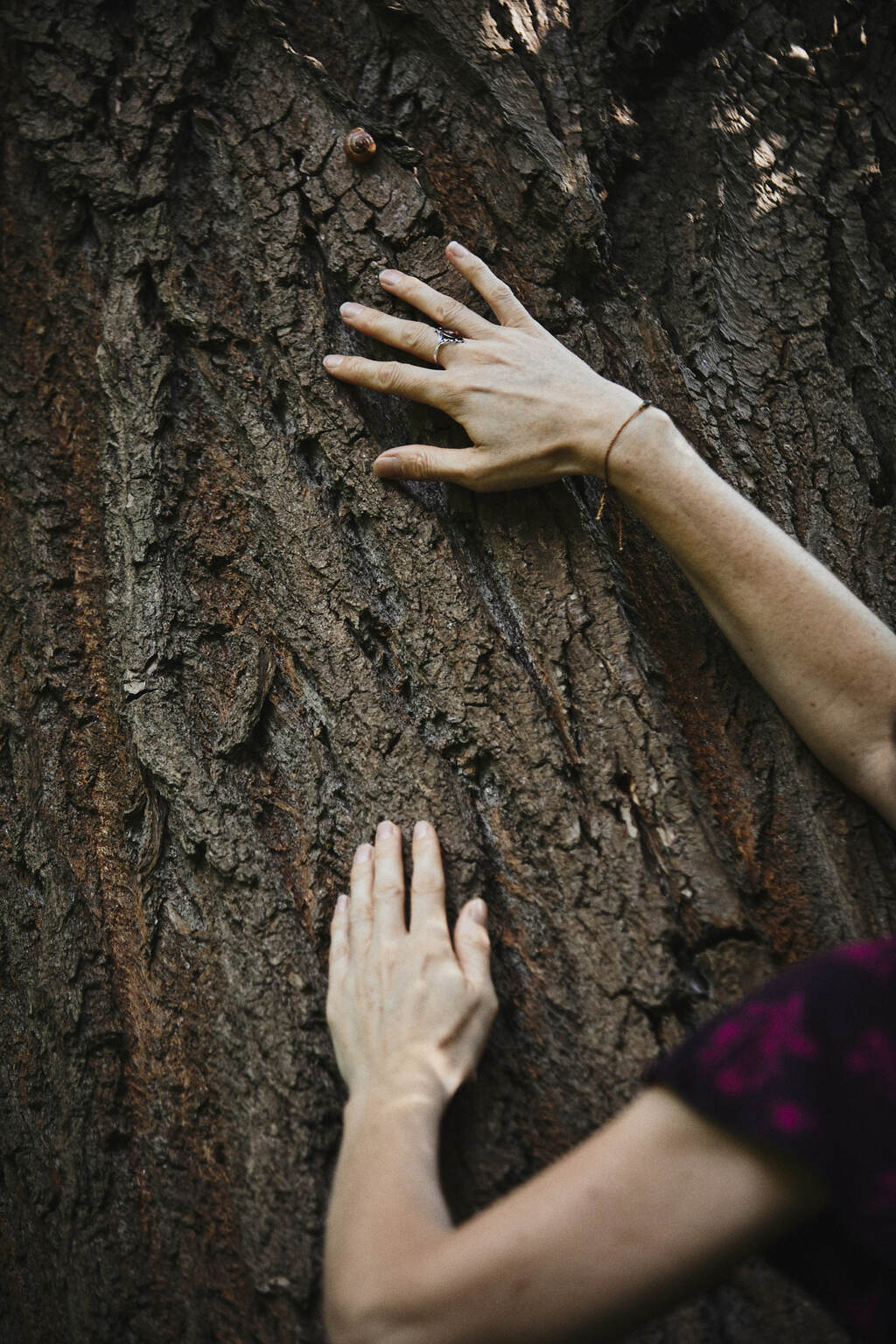 Coaching und Psychotherapie in der Natur Kristin Behnke Essen