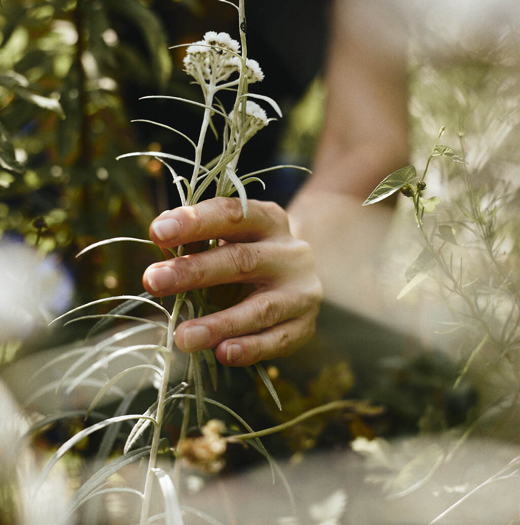 Hand von Dr. Kristin Behnke, die eine weiße Blume umschließt